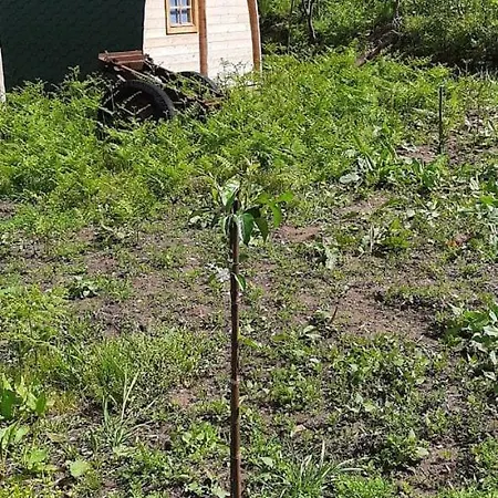 Jardim Lumi Tente de luxe